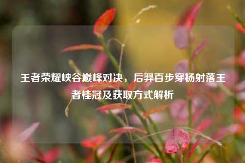 王者荣耀峡谷巅峰对决，后羿百步穿杨射落王者桂冠及获取方式解析