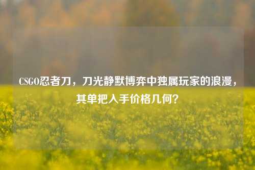 CSGO忍者刀，刀光静默博弈中独属玩家的浪漫，其单把入手价格几何？
