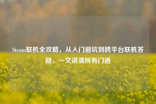 Steam联机全攻略,从入门避坑到跨平台联机答疑,一文讲清所有门道