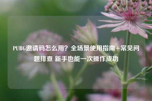PUBG邀请码怎么用？全场景使用指南+常见问题排查 新手也能一次操作成功
