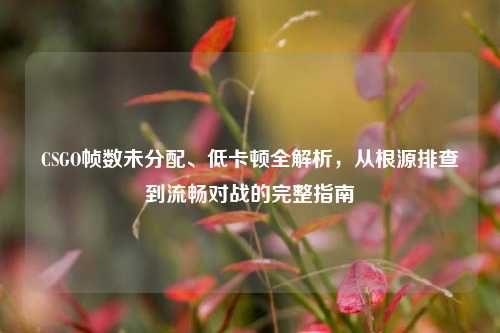 CSGO帧数未分配、低卡顿全解析，从根源排查到流畅对战的完整指南