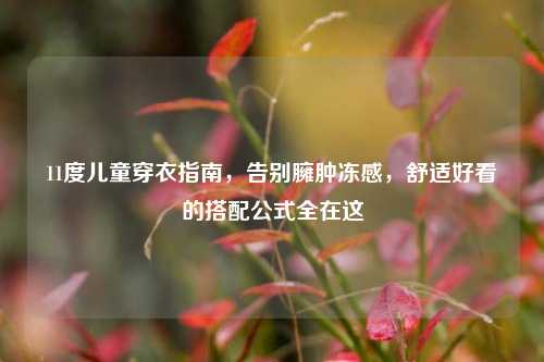 11度儿童穿衣指南,告别臃肿冻感,舒适好看的搭配公式全在这