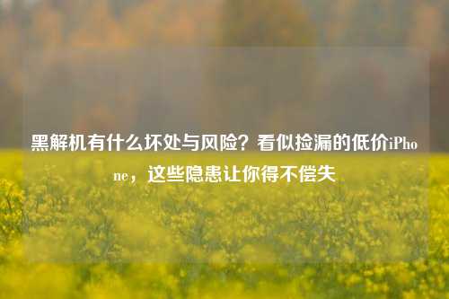 黑解机有什么坏处与风险？看似捡漏的低价iPhone，这些隐患让你得不偿失