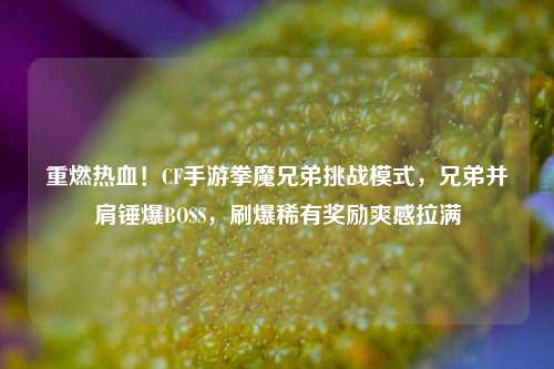 重燃热血！CF手游拳魔兄弟挑战模式，兄弟并肩锤爆BOSS，刷爆稀有奖励爽感拉满