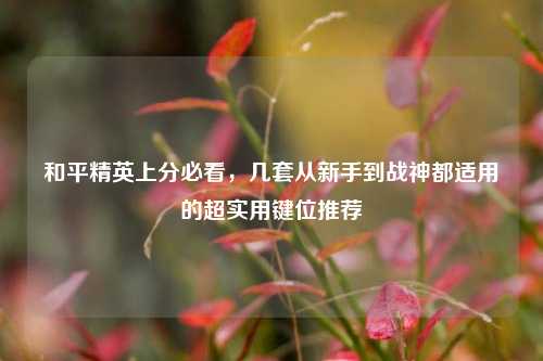 和平精英上分必看，几套从新手到战神都适用的超实用键位推荐