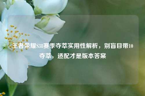王者荣耀S38赛季夺萃实用性解析，别盲目带10夺萃，适配才是版本答案
