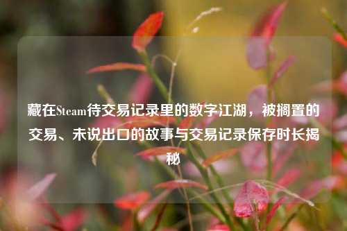 藏在Steam待交易记录里的数字江湖，被搁置的交易、未说出口的故事与交易记录保存时长揭秘