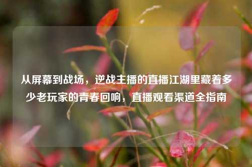 从屏幕到战场，逆战主播的直播江湖里藏着多少老玩家的青春回响，直播观看渠道全指南