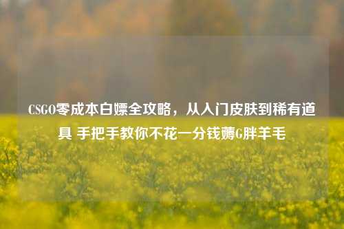 CSGO零成本白嫖全攻略,从入门皮肤到稀有道具 手把手教你不花一分钱薅G胖羊毛