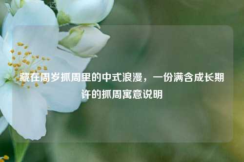藏在周岁抓周里的中式浪漫,一份满含成长期许的抓周寓意说明