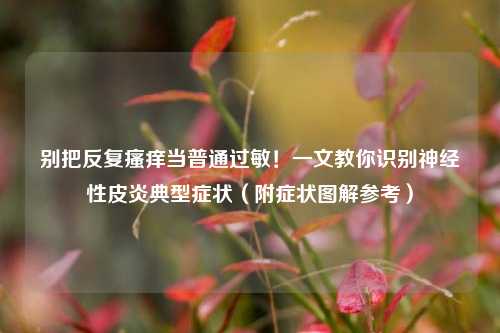 别把反复瘙痒当普通过敏！一文教你识别神经性皮炎典型症状（附症状图解参考）