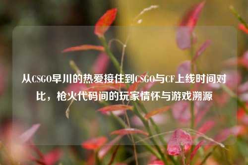从CSGO早川的热爱接住到CSGO与CF上线时间对比,枪火代码间的玩家情怀与游戏溯源